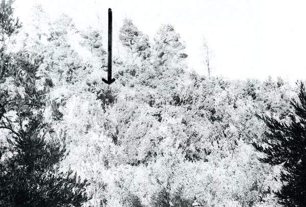 Ερημικό τοπίο με βλάστηση